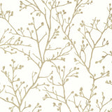 A-Street Prints Koura Budding Branches Cream Wallpaper