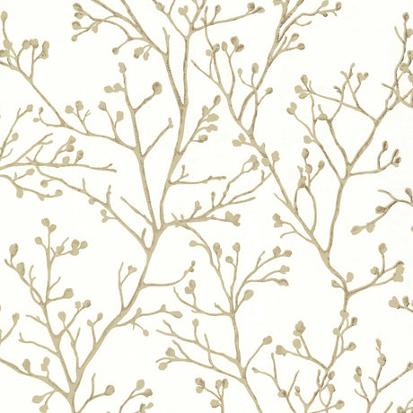 A-Street Prints Koura Budding Branches Cream Wallpaper
