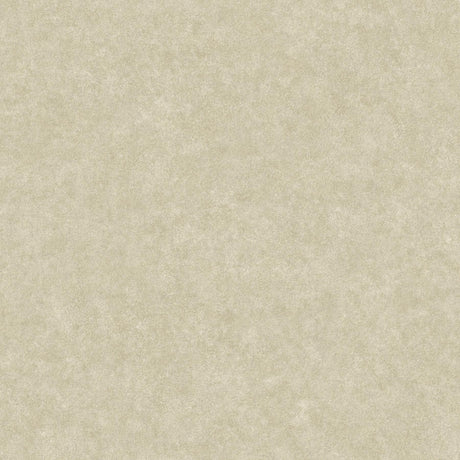 Brewster Home Fashions Cielo Champagne Sponged Metallic Wallpaper