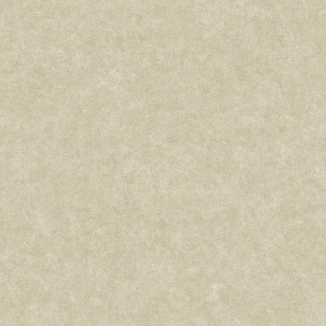 Brewster Home Fashions Cielo Sponged Metallic Champagne Wallpaper