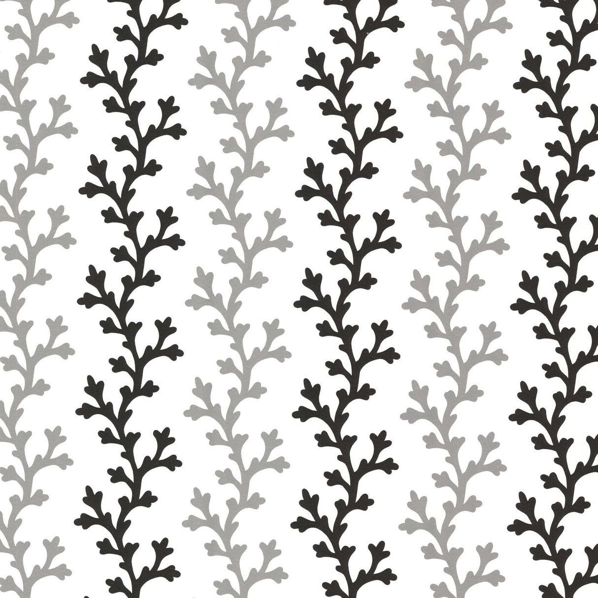 Brewster Home Fashions Georgina Black Ombre Coral Wallpaper