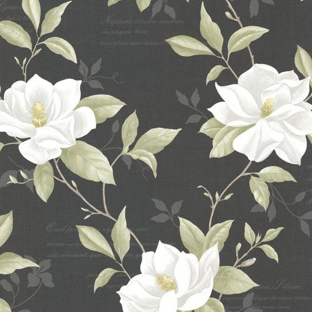 Brewster Home Fashions Cressida Black Magnolia Trail Wallpaper