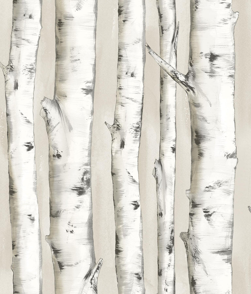 Brewster Home Fashions Pioneer Off-White Birch Tree Wallpaper