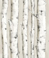 Brewster Home Fashions Pioneer Off-White Birch Tree Wallpaper