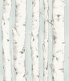 Brewster Home Fashions Pioneer Light Blue Birch Tree Wallpaper
