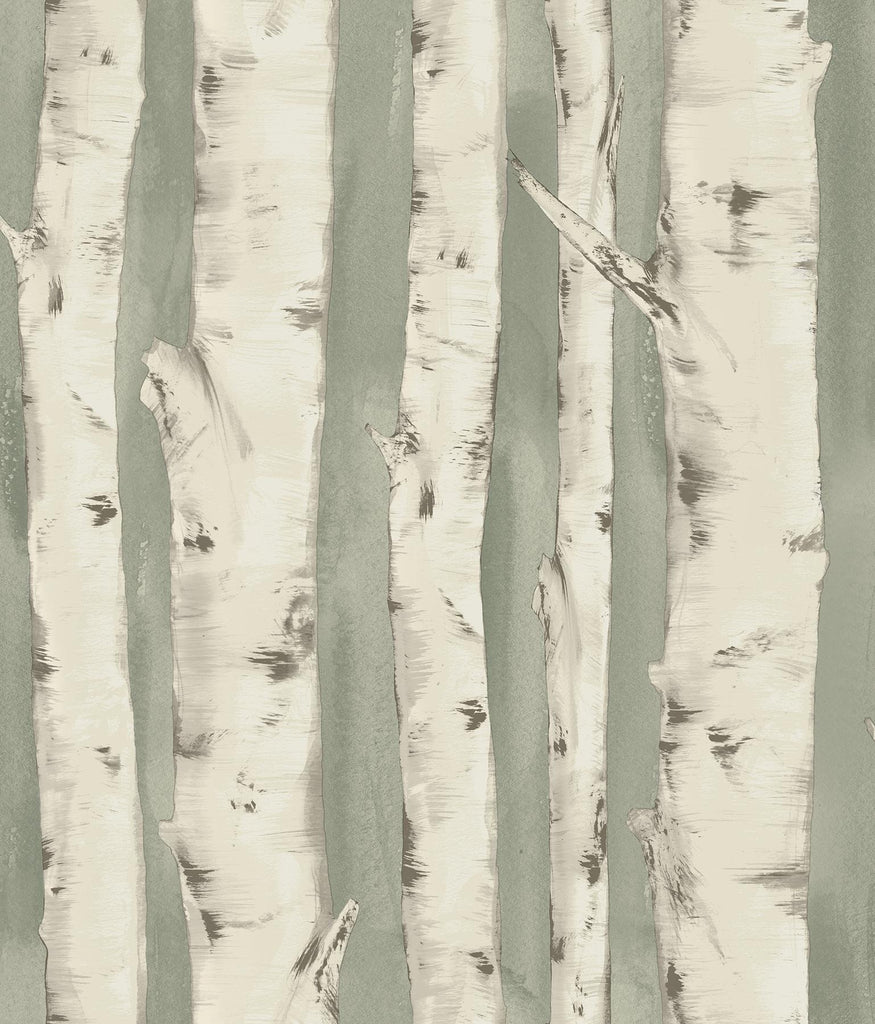 Brewster Home Fashions Pioneer Sage Birch Tree Wallpaper