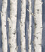 Brewster Home Fashions Pioneer Denim Birch Tree Wallpaper