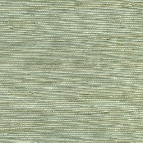 Brewster Home Fashions Amur Mint Grasscloth Wallpaper