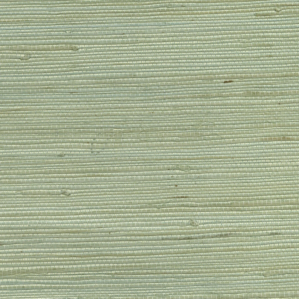 Brewster Home Fashions Amur Mint Grasscloth Wallpaper
