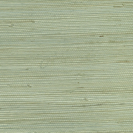 Brewster Home Fashions Amur Grasscloth Mint Wallpaper