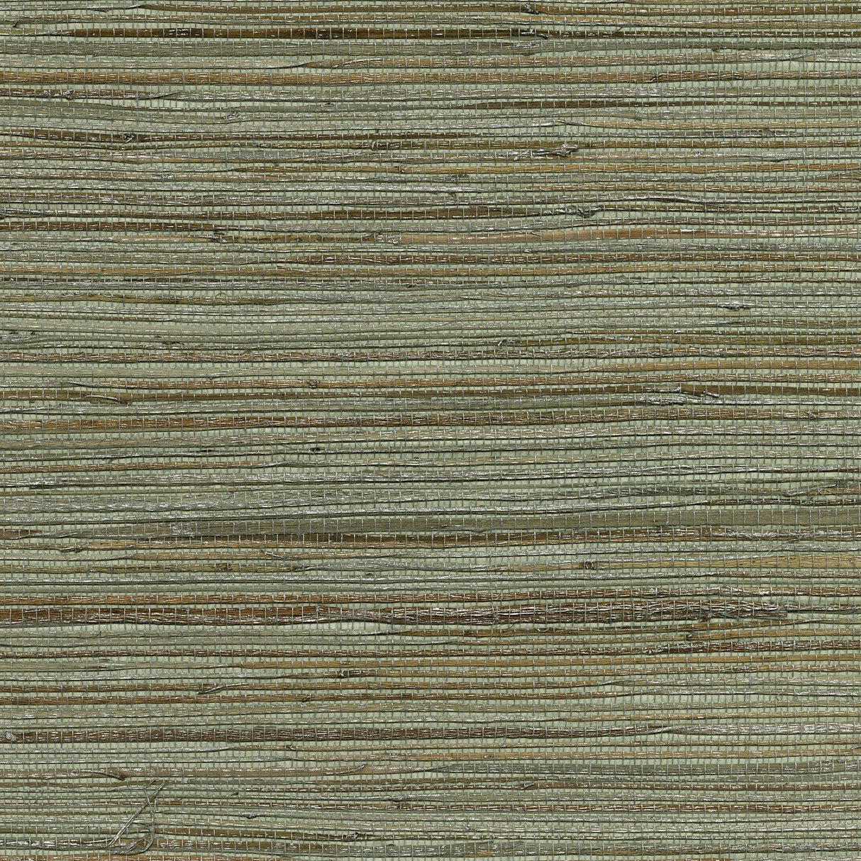 Brewster Home Fashions Shandong Sea Green Grasscloth Wallpaper