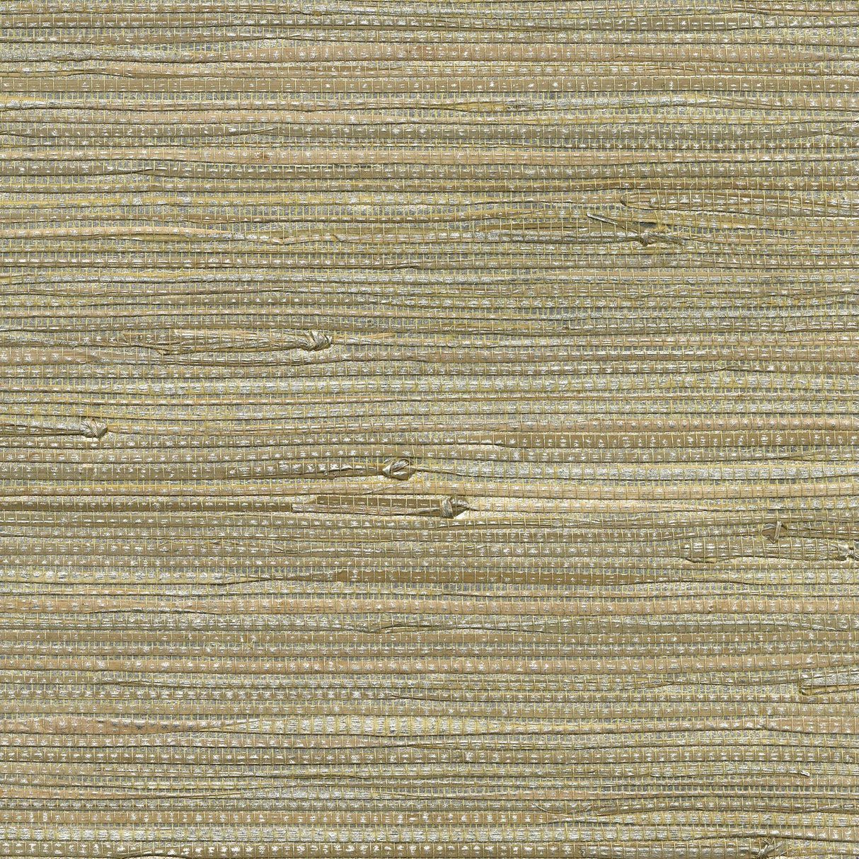 Brewster Home Fashions Iriga Platinum Grasscloth Wallpaper