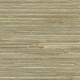 Brewster Home Fashions Iriga Platinum Grasscloth Wallpaper
