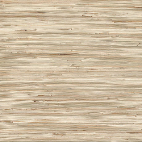 Brewster Home Fashions Bataan Grasscloth Wheat Wallpaper
