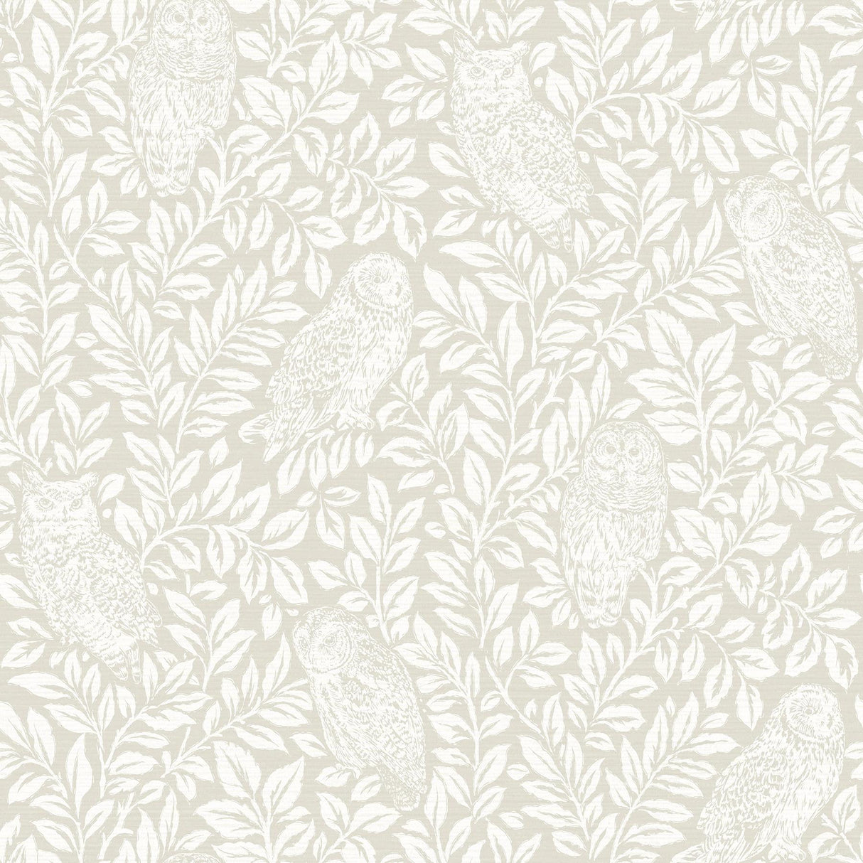Brewster Home Fashions Parliament Owl Cream Wallpaper