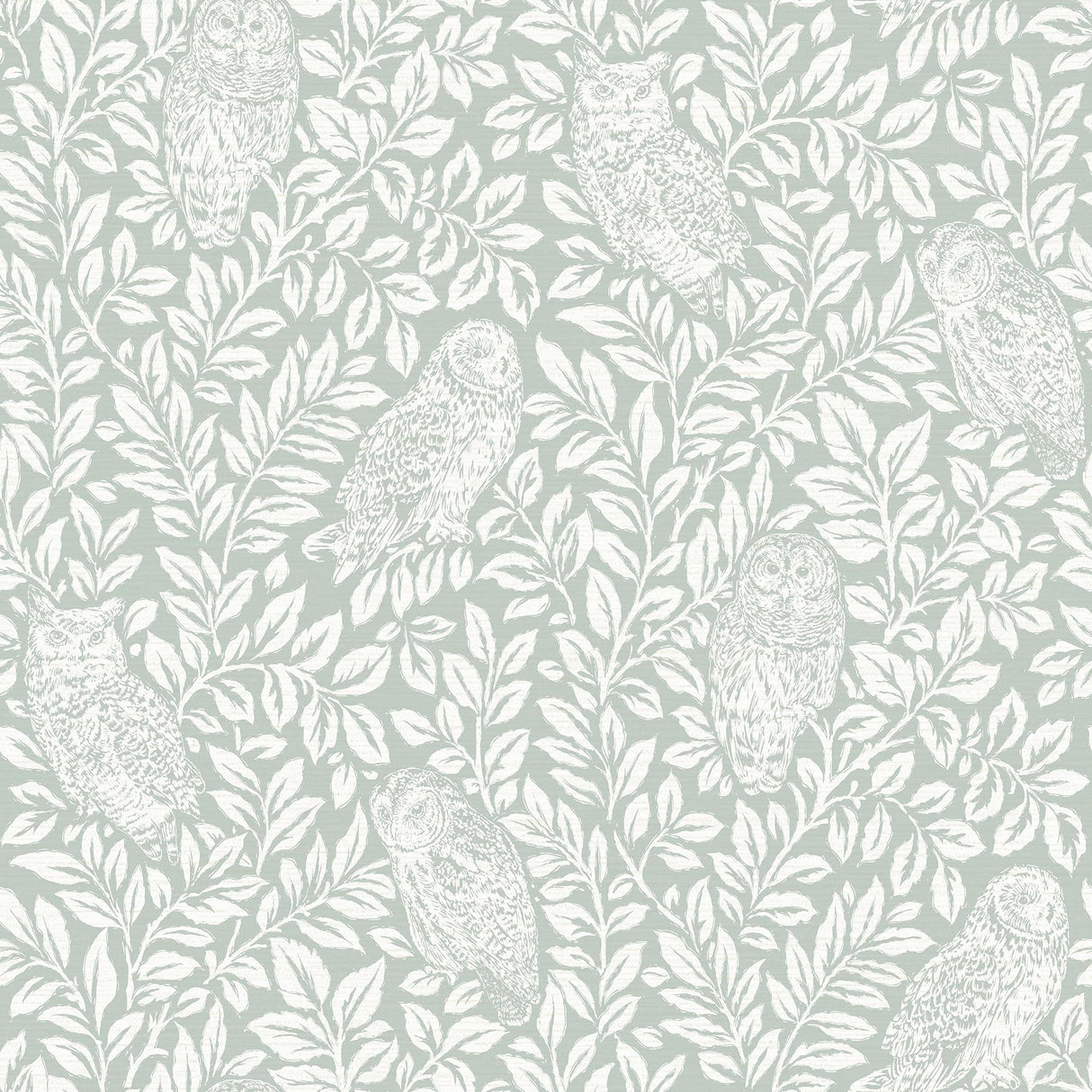 Brewster Home Fashions Parliament Owl Teal Wallpaper