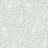 Brewster Home Fashions Parliament Owl Teal Wallpaper