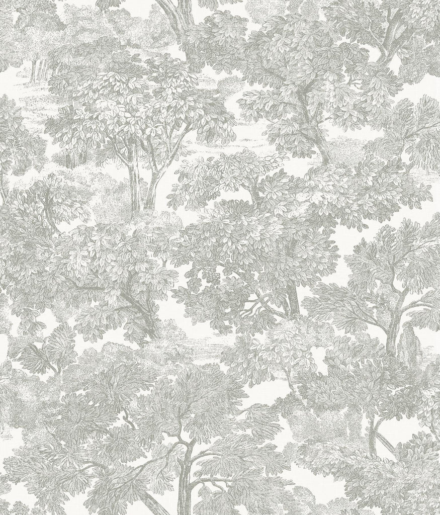 Brewster Home Fashions Spinney Grey Toile Wallpaper