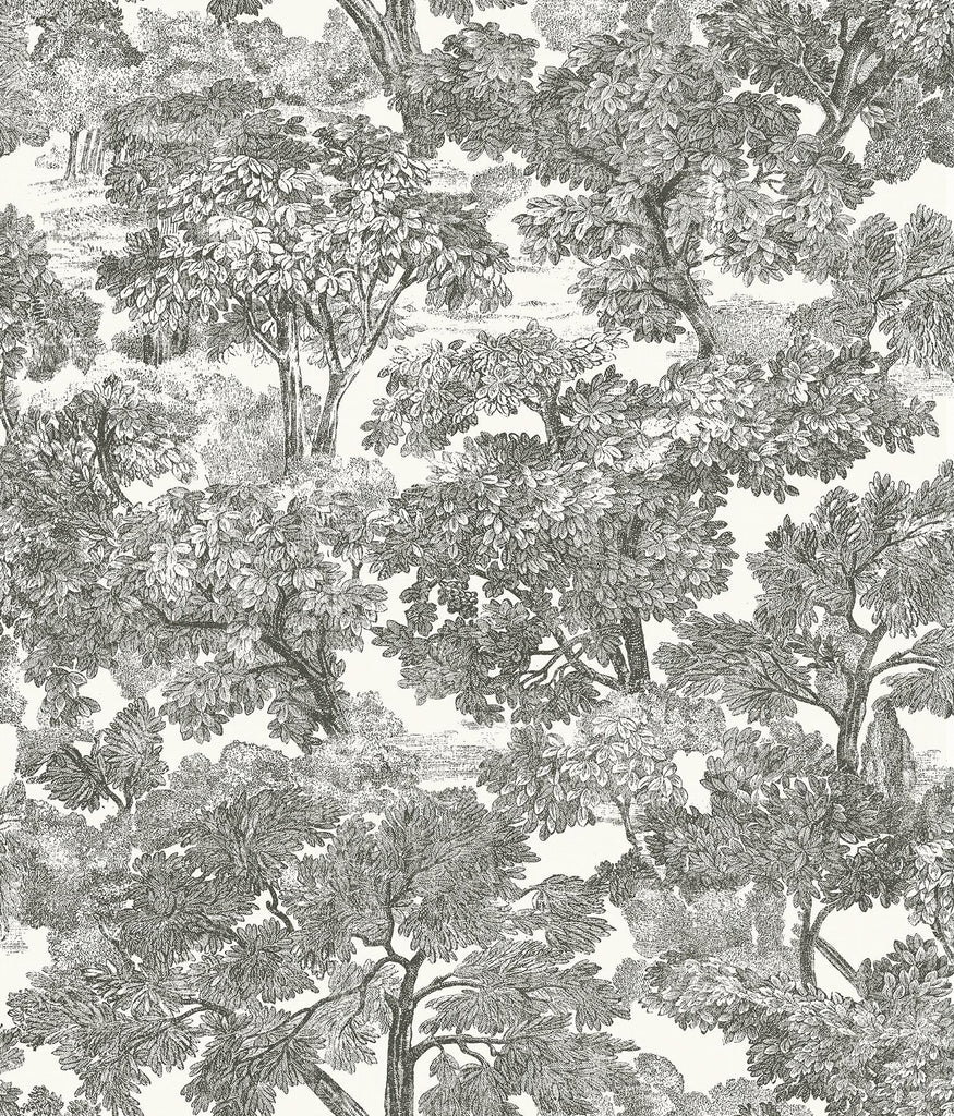 Brewster Home Fashions Spinney Toile Black Wallpaper