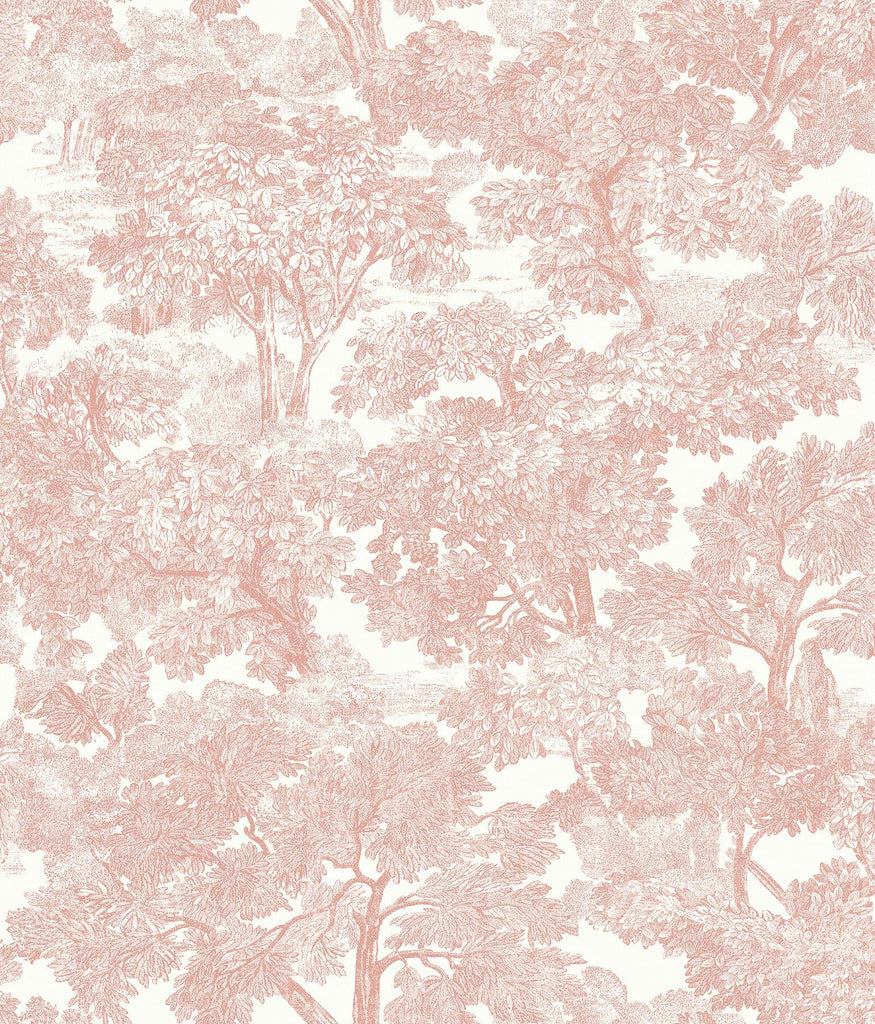 Brewster Home Fashions Spinney Rose Toile Wallpaper