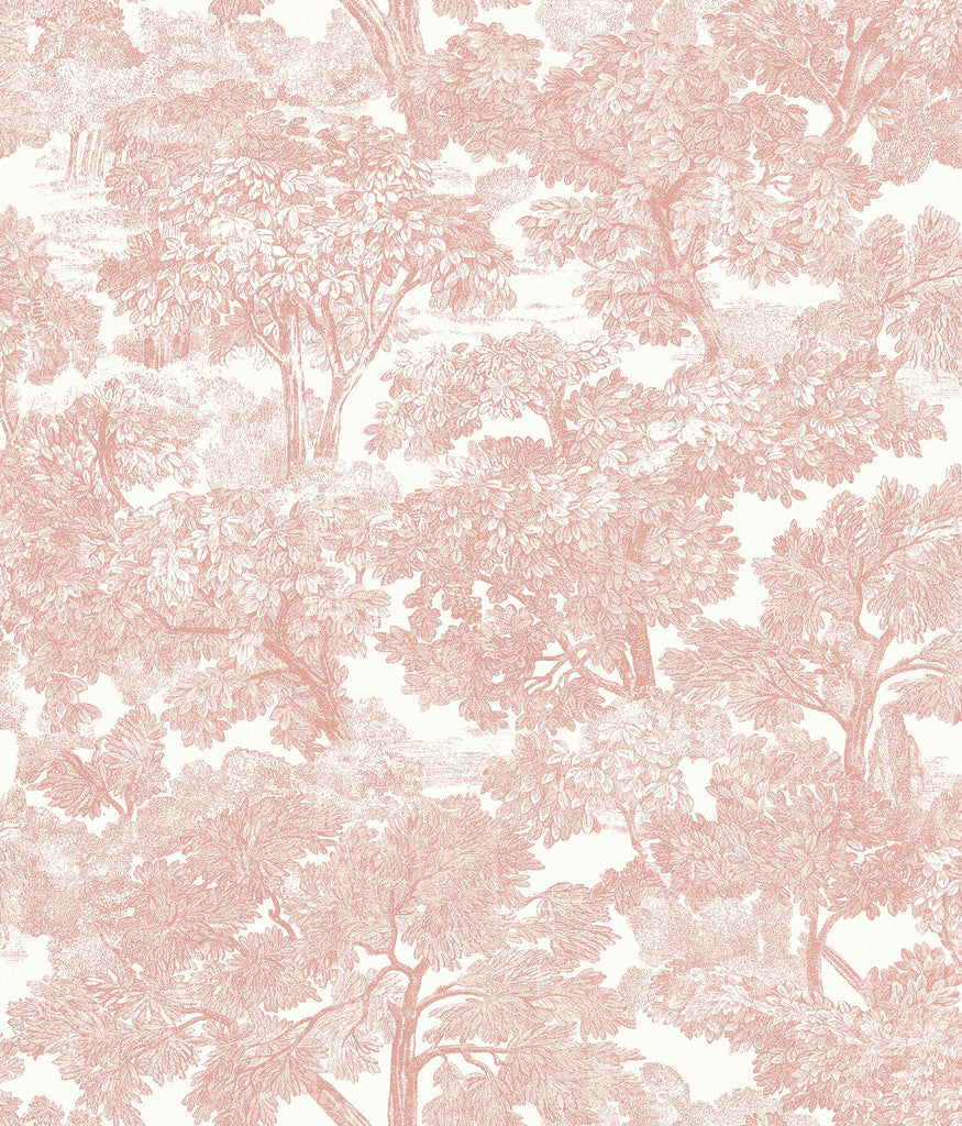 Brewster Home Fashions Spinney Toile Rose Wallpaper