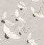 Brewster Home Fashions Windsong Grey Bird Wallpaper