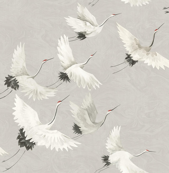 Brewster Home Fashions Windsong Grey Bird Wallpaper