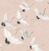Brewster Home Fashions Windsong Pink Bird Wallpaper