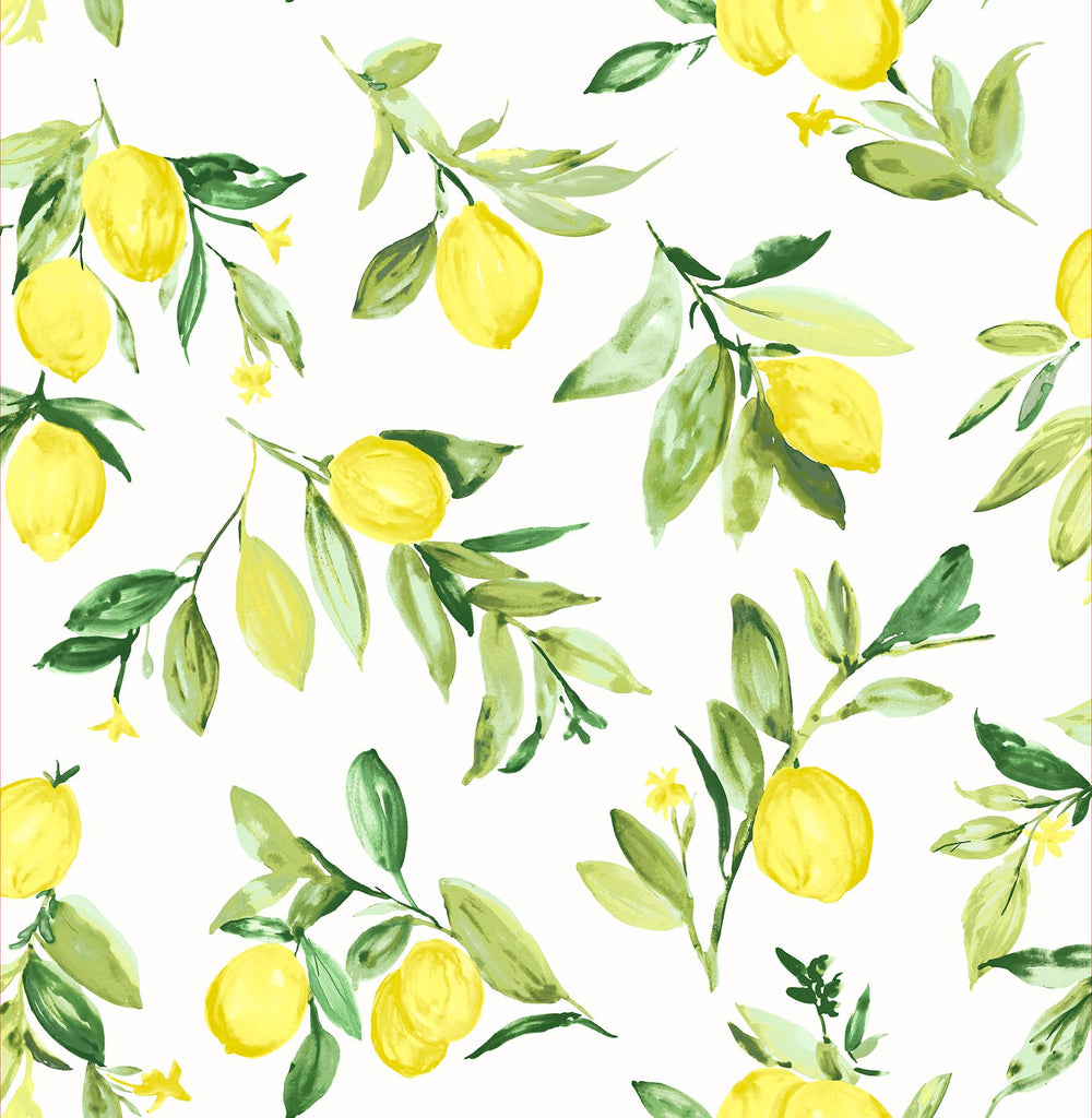 Brewster Home Fashions Limon Fruit Chartreuse Wallpaper