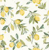 Brewster Home Fashions Limon Yellow Fruit Wallpaper