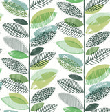 Brewster Home Fashions Nyssa Leaves Green Wallpaper