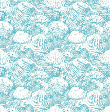 Brewster Home Fashions Surfside Aqua Shells Wallpaper