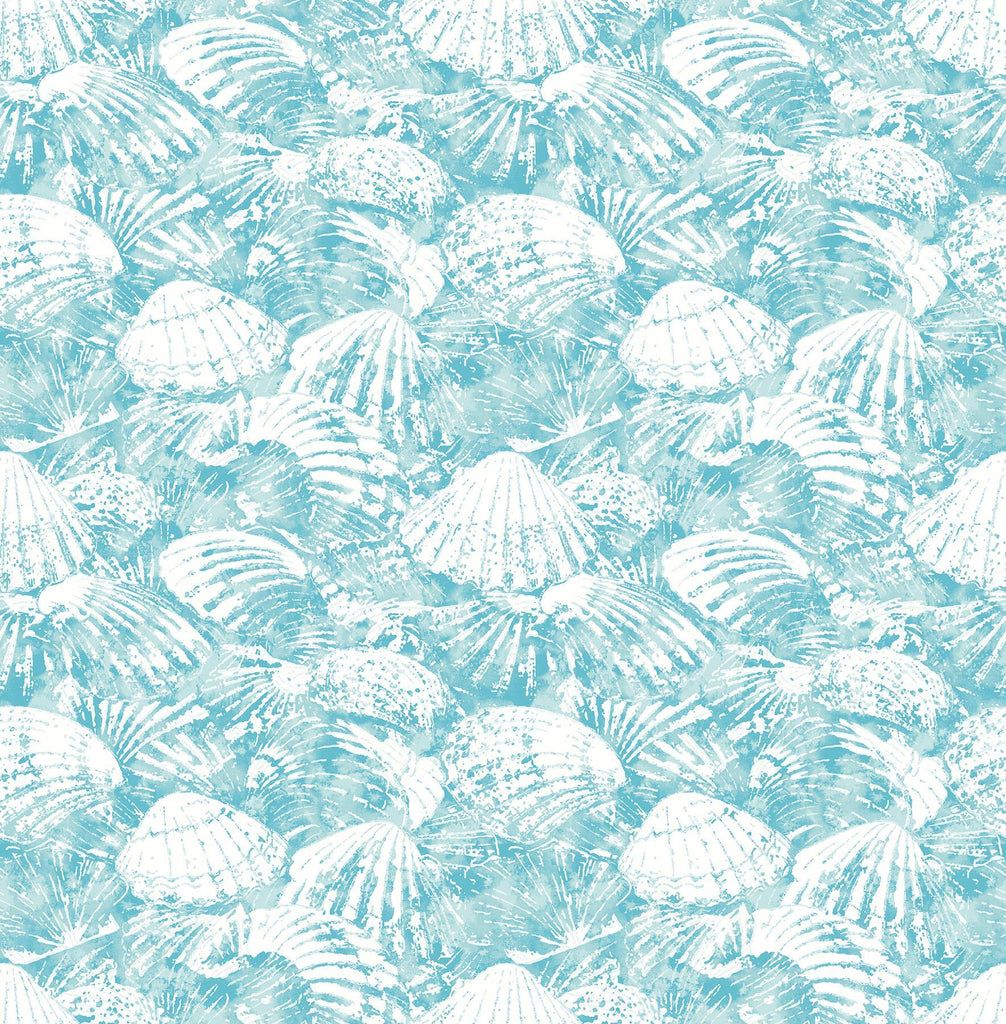 Brewster Home Fashions Surfside Aqua Shells Wallpaper