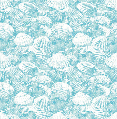 Brewster Home Fashions Surfside Shells Aqua Wallpaper