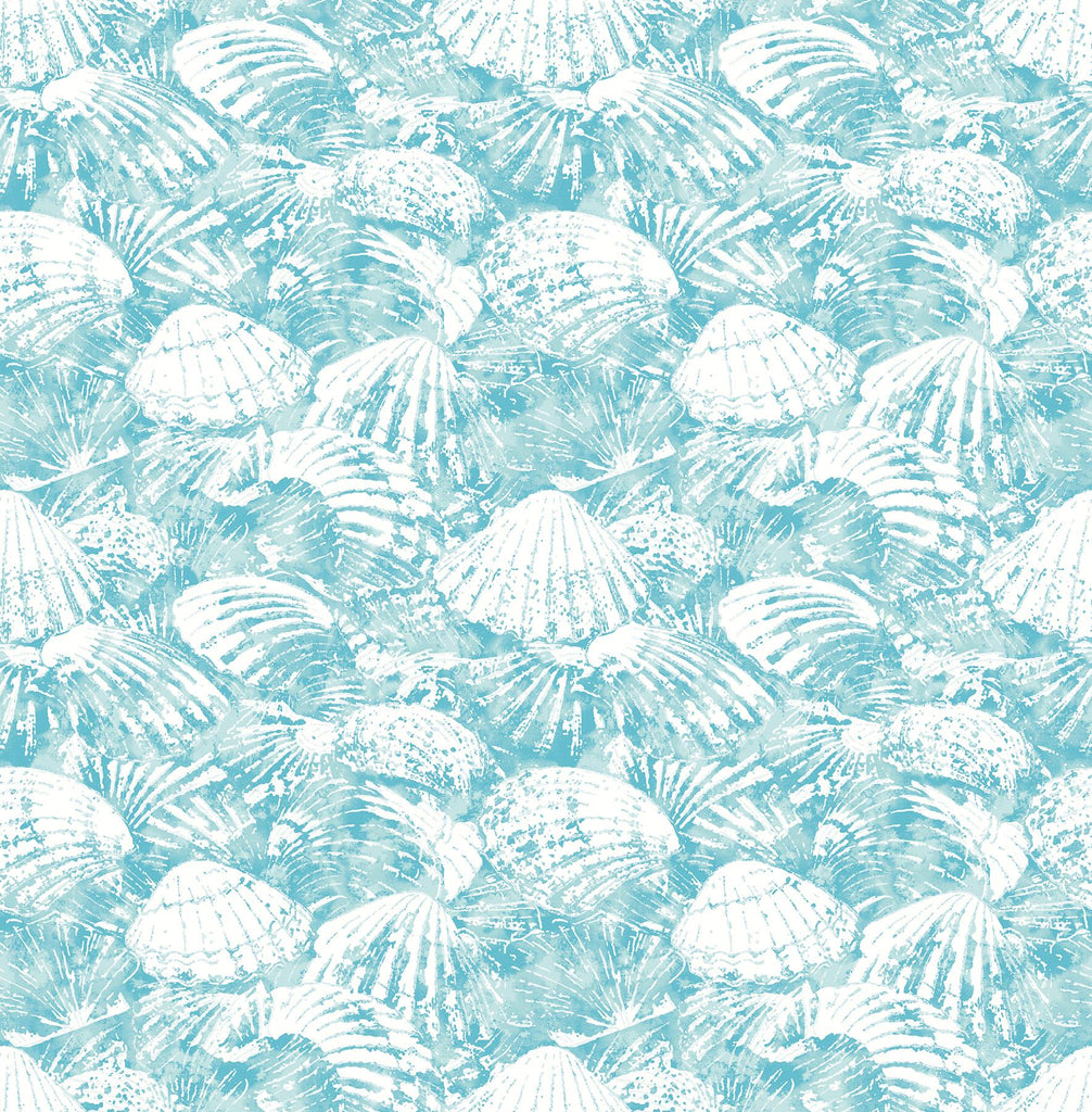 Brewster Home Fashions Surfside Shells Aqua Wallpaper