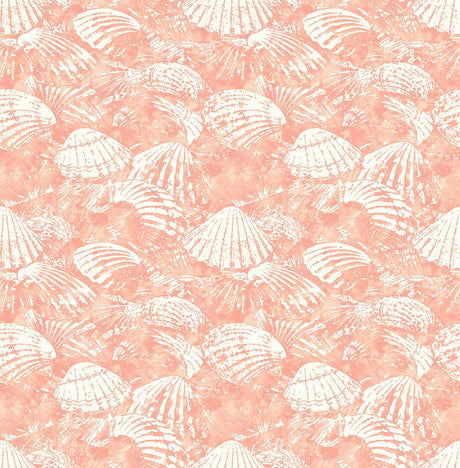 Brewster Home Fashions Surfside Coral Shells Wallpaper