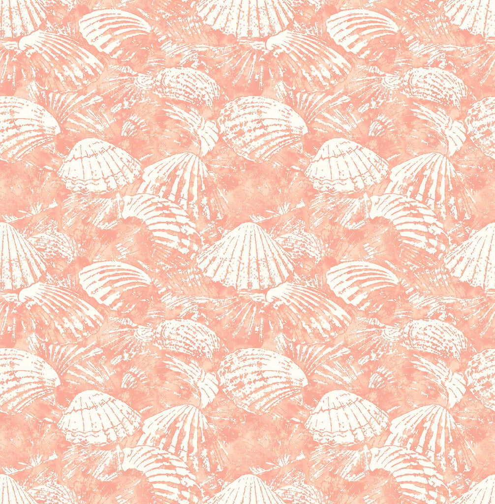 Brewster Home Fashions Surfside Coral Shells Wallpaper