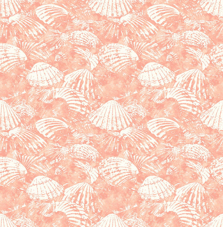 Brewster Home Fashions Surfside Shells Coral Wallpaper