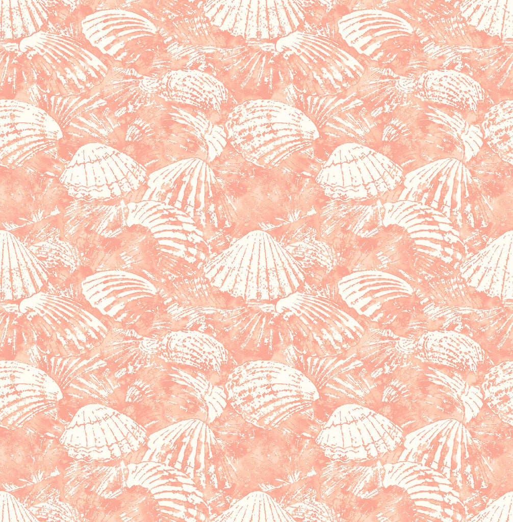 Brewster Home Fashions Surfside Shells Coral Wallpaper