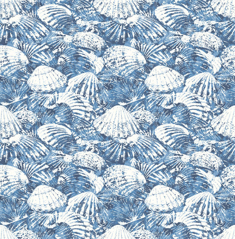 Brewster Home Fashions Surfside Shells Blue Wallpaper