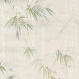 Brewster Home Fashions Atlis Neutral Bamboo Wallpaper
