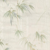 Brewster Home Fashions Atlis Bamboo Neutral Wallpaper