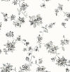 Brewster Home Fashions Cyrus Charcoal Festive Floral Wallpaper