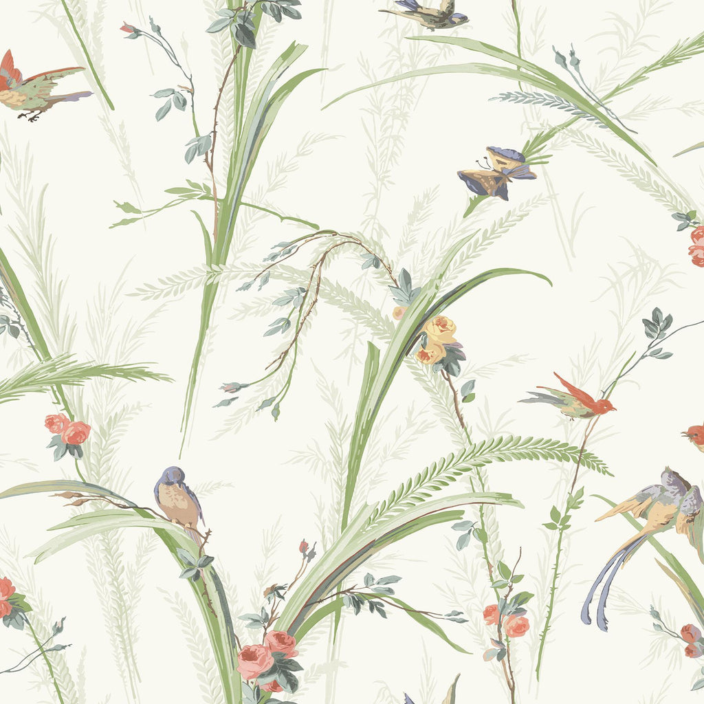 Brewster Home Fashions Meadowlark Light Green Botanical Wallpaper