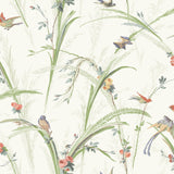Brewster Home Fashions Meadowlark Botanical Light Green Wallpaper