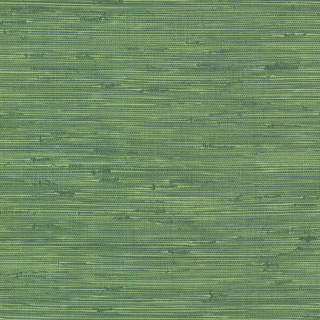 Brewster Home Fashions Lycaste Green Weave Texture Wallpaper