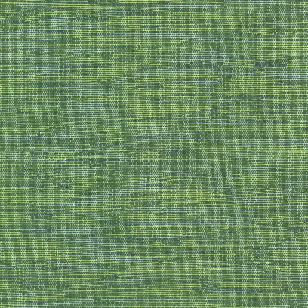 Brewster Home Fashions Lycaste Weave Texture Green Wallpaper