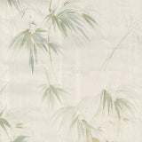 Brewster Home Fashions Poales Bamboo Cream Wallpaper