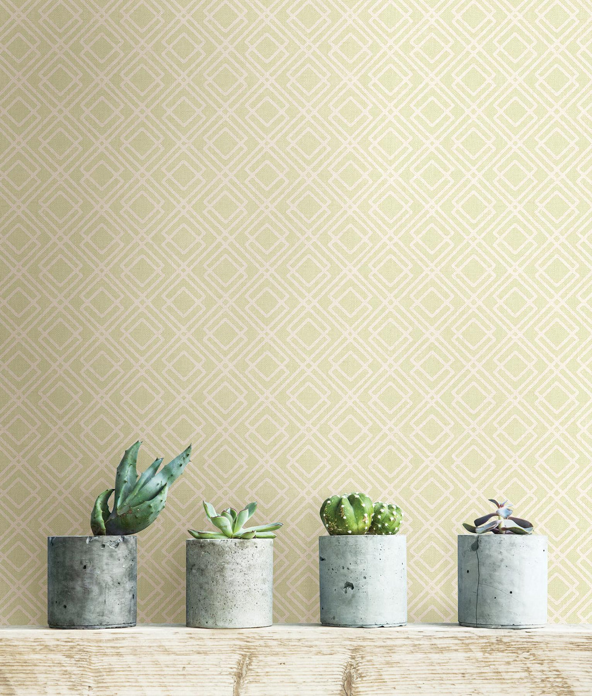 Brewster Home Fashions Milly Green Lattice Wallpaper