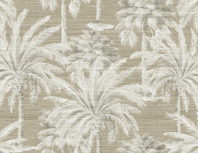 Brewster Home Fashions Dream Of Palm Trees Brown Texture Wallpaper